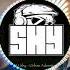 DJ SHY Electro Gladiator Now We Are Free Original Mix