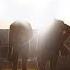 Sun Heat You Re Gonna Love It Official Audio From Netflix S Tribes Of Europa Peloton Ad