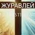 ПОСМОТРИ НА СТАИ ЖУРАВЛЕЙ ХРИСТИАНСКАЯ ПЕСНЯ
