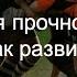 Ментальная Прочность что это фрагмент вебинара