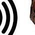 Rooster Sound Effect ProSounds