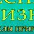 ЛЕКЦИЯ ДЛЯ СНА МАГИЯ ЛЕСА и ТАЙНЫ ЦИКЛОВ ПРИРОДЫ для ГЛУБОКОГО СНА
