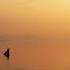 BELATED AUTUMN Piano A Gentle Romantic Melody