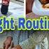 Busy Mom Night Routine In Summer Chicken Steak With White Sauce Pasta میری رات کی روٹین