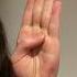 Mama S Boy Tutorial ASL Signlanguage Fun