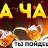 ПОСЛАЛ С ПИВОМ НА УЙ ОДИН ПАССАЖИР ДВА ЧАЯ ОХ ЕВШИЕ ПАССЫ Яндекс поддержка ДНО