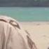 Bud Spencer Facepalm Collection