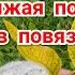 TAG Осень рыжая подружка помогает в повязушках