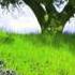 Magic Carpet Ride A Guided Relaxation