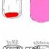All Abt Me Xd Stxrz