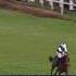 Martator Charlie Deutsch Venetia Williams Newburyracecourse Horseracing Racehorses Horse