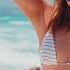 Animal Picnic She Is Patrick Podage Remix