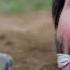 Keanu Reeves Is Forced To Watch Steve Rambo