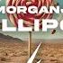 MorganJ Lollipop