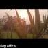 Dil Se Sun Priya Ye Dil Ki Dastan Status Naino Ne Baandhi Love Status Arijitsingh Shorts