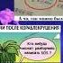Мем Memes Funny Meme Fyp мем