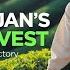 Inside Azerbaijan S Astarachay Tea How Handpicked Leaves Become Premium Black Tea