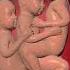 PRECIOUS MOMENTS OF TRIPLETS INSIDE THE WOMB 3D ANIMATION