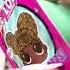Lol Surprise Tropical Pudding Snack Pack Unboxing ASMR Shorts