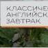 Новые европейские завтраки в ВАБИ САБИ всего от 170 рублей