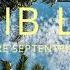 Orchestre Septentrional Live Ekilib La Vi Live Visualizer