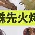 How To Eat Every Insect GQ Taiwan