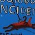The Curious Incident Of The Dog In The Nighttime By Mark Haddon Part 6 Of 7 Audio Text