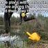 Is It Just Me Viralvideo Youtubeshorts Foryou Bass Shorts Trending Funny