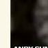 Andy Summers Robert Fripp China Yellow Leader