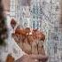 Carlo Stanga Unlayers London And Its Eccentricities At The Galleria Bonvini In Milan STIRworld Com
