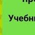 Starlight 3 City Stars 3 Старлайт 3 учебник часть 2 стр 58 59 At The Animal Park