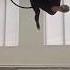 Aerial Hoop Воздушное кольцо 2023
