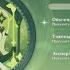 Genshin Impact Фантазия чистоты Экстремальный карнавальный ансамбль II