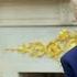 President Trump Accuses South Africa Of Genocide Against White Farmers