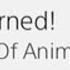 Hotline Miami Sounds Of Animals Fighting Trophy Guide