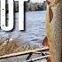 Remote Trout Fishing Adventure Portaging Into Wild Waters In Search Of Native Trout With My Brother