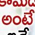 Kota Srinivas Rao Babu Mohan Back To Back Comedy Scenes Mayadari Mosagadu Super Hit Telugu Movie