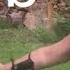 Heavy War Bow 130lb Destroys Arrow