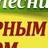 ЗА ПОЛЯРНЫМ КРУГОМ О Митяев на гитаре АККОРДЫ разбор песни Уроки гитары для начинающих
