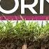 Worms Are Wonderful Amazing Animals Backyard Science SciShow Kids