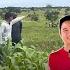 TIN BUỒN CHO QUANG LINH TRANG TRẠI ANGOLA BỊ NGHI DÀN DỰNG