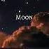 Talking To The Moon Tiktok Version Lyrical Verse Shortvideo Shorts Lyrics