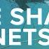 Newcastle Council Votes To Remove Shark Nets Daily Scuba News W Shaun