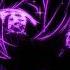Mazie Dumb Dumb Slowed Reverb