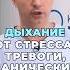 Дыхание от стресса тревог и панических атак шишонин дыхание здоровье