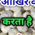 What Can Be The Future Growth In Garlic Garlic Report 2025