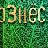 Как Ты вознёс на крест Кристина Райлян Христианские песни