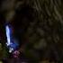Swordigo Walkthrough Great Caves