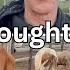 We Bought A Homestead Come See Our New Cows