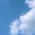 The Royal Philharmonic Orchestra Beautiful Day 2005